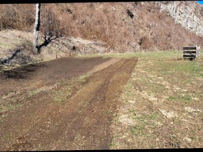 Bild 4:Forstfräsung, Schlegeln, Forstunterstützung, Transport