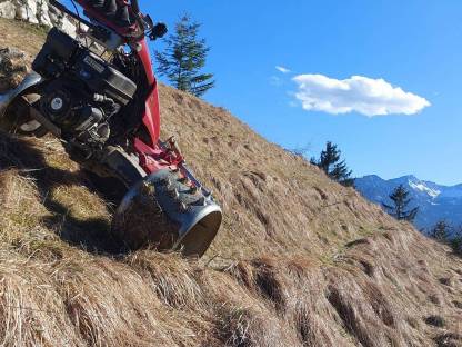 Bild 2:Dienstleistungen (Motormäher)