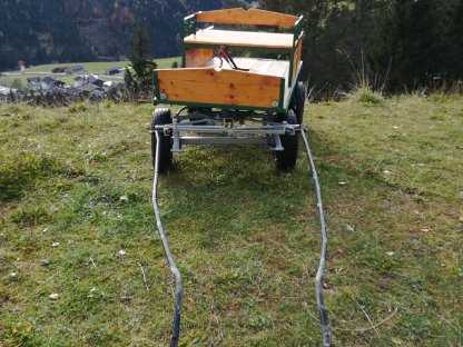 Bild 2:Kutsche Einspänner