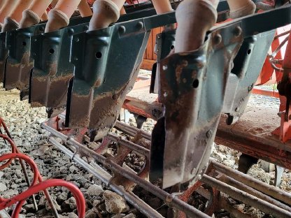 Bild 5:Reform Semo 99