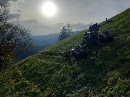 Bild 5:Dienstleistungen (Motormäher)