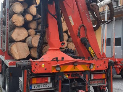 Bild 5:Holztransporter IVECO Trakker 6x6