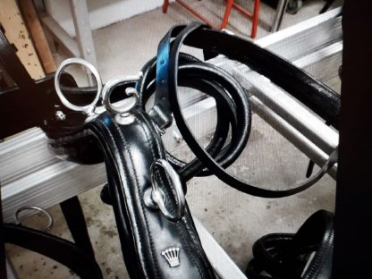 Bild 2:Zweispänner-Geschirr Brustblatt