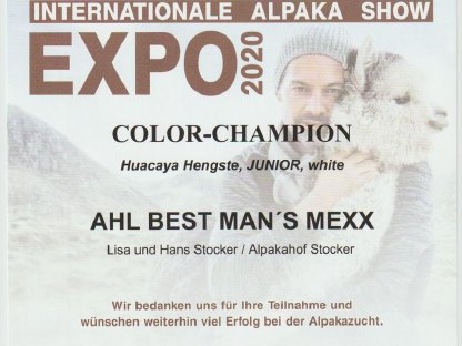 Bild 8:Alpaka Deckservice, Alpaca Zuchthengst, Deckhengst