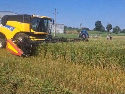 Bild 2:Schneidwerk MacDon FD60