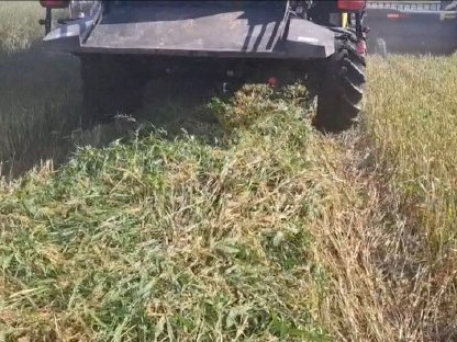 Bild 3:Schneidwerk MacDon FD60