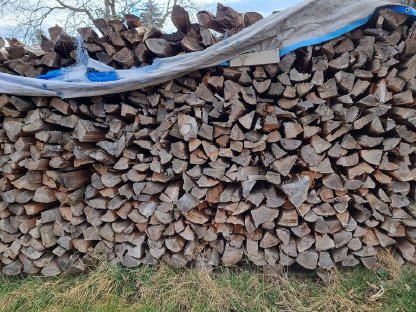 Bild 2:Brennholz
