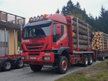 Bild 2:Holztransporter IVECO Trakker 6x6