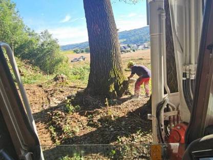 Bild 9:Baggerungen und Forstarbeit