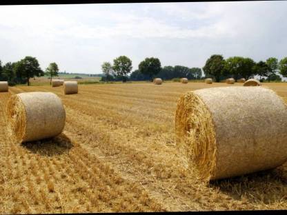 Strohrundballen