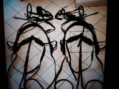 Bild 3:Zweispänner-Geschirr Brustblatt