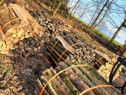 Bild 3:Brennholz