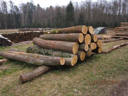 Wald gesucht, kaufe Wald