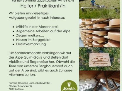 Praktikant / Helfer gesucht