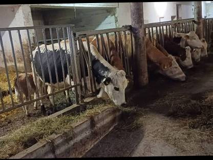 Suchen Landwirtschaft zur Weiterführung