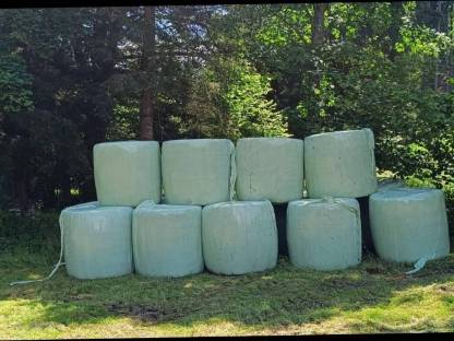 Silageballen 1. Schnitt 2024