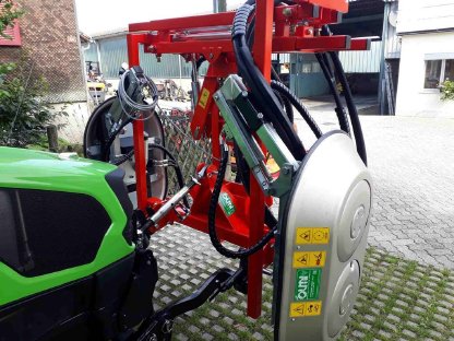 Bild 3:Entlauber Olmi