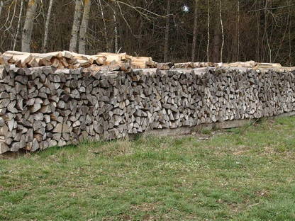 Brennholz, 1 rm Fichte, Meterscheiter trocken