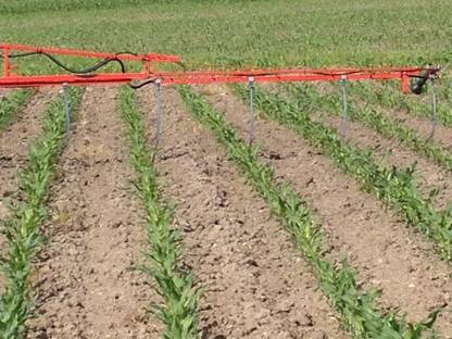 Bild 4:Pflanzenschutz