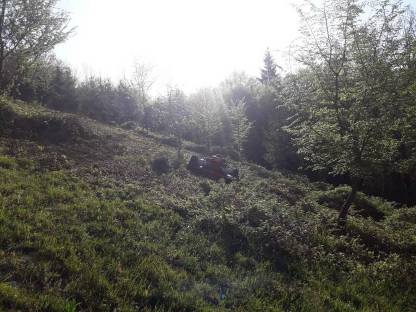 Bild 3:Mäharbeiten Mulcher Böschungsmulcher Mähroboter Mulchen