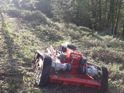 Bild 2:Mäharbeiten Mulcher Böschungsmulcher Mähroboter Mulchen