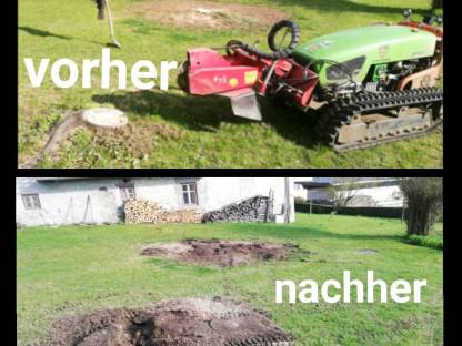 Bild 2:Mulch- und Wurzelstockfräs-Service
