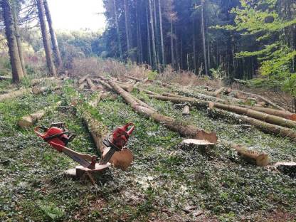 Bild 2:Forstarbeiten