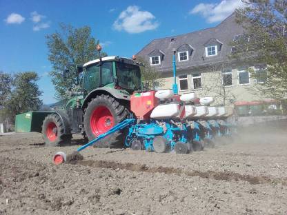Bild 2:Maisanbau