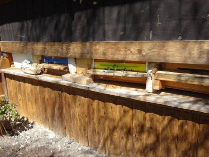 Bild 2:Honig aus eigener Imkerei