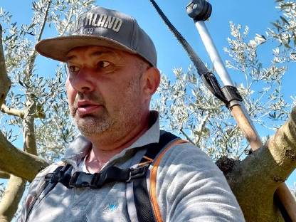 Bild 4:Natives Olivenöl Extra