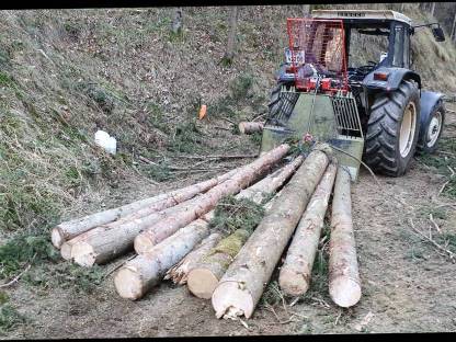 Bild 3:Bitte Holzschlägerung und Bringung