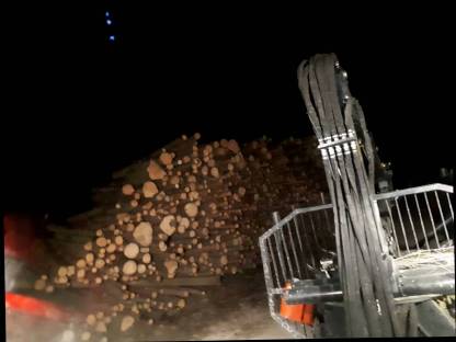 Bild 3:Biete Holzschlägerung/ Rückung