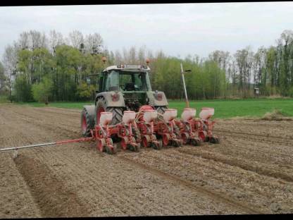 Bild 2:Einzelkornsaat, Maisanbau