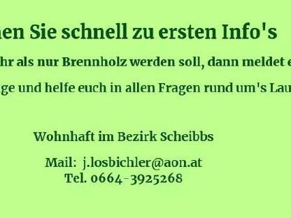 Bild 2:Hilfe im Laubwald  - ob Planung der Aufforstung oder Auszeig