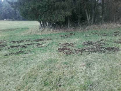 Bild 3:Grünlandreparaturen