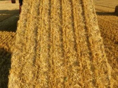 Bild 3:Pressen von Heu & Stroh in Groß- und Kleinballen