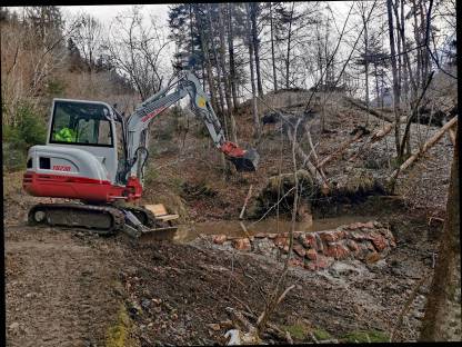 Bild 3:Erdbewegungen / Baggerarbeiten / Planie / Wegebau /Transport