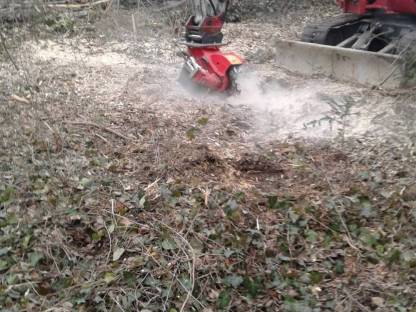 Bild 3:Wurzelstockfräsen