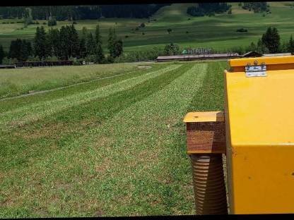 Bild 2:Nachsaat im Grünland