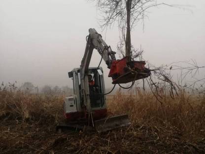 Bild 4:Bäume und Sträucher schneiden