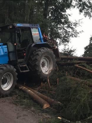 Bild 3:Holzschlägerung und Bringung Georg Rettenwender