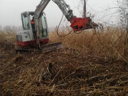 Bild 3:Bäume und Sträucher schneiden