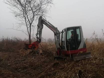 Bild 2:Bäume und Sträucher schneiden