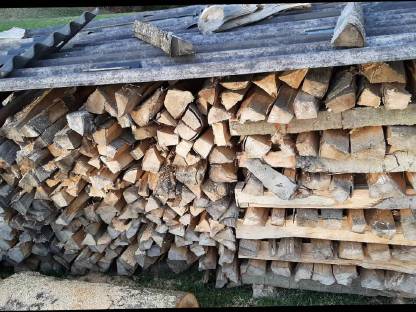 Brennholz Buche