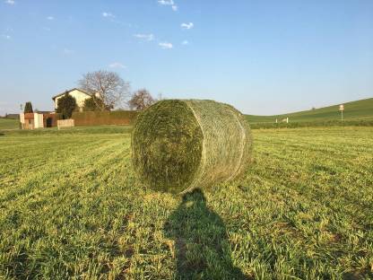 Bild 2:Rundballen pressen