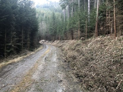 Bild 4:Lohnarbeit, Fräsarbeiten, Straßensanierung