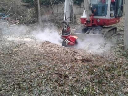 Bild 2:Wurzelstockfräsen