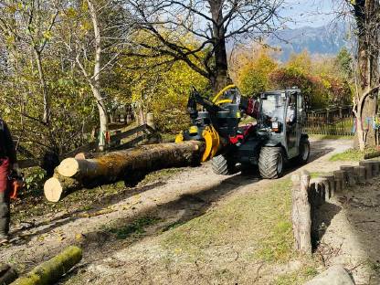 Bild 8:Zoller Agrarservice/winterdienst/hausmeisterservice