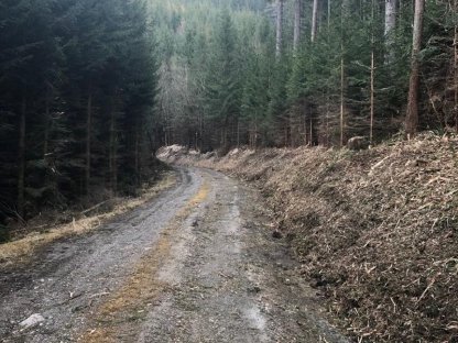 Bild 4:Böschungspflege und Böschungssanierungen