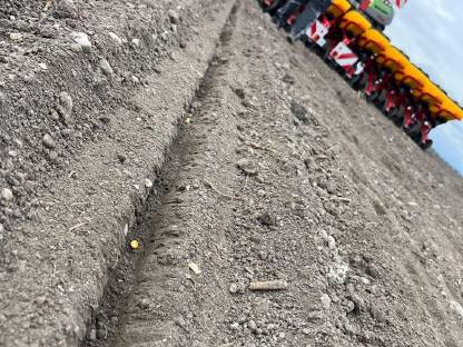 Bild 3:Anbauflächen Einzelkornsaat rtk Mikrogranulatstreuer